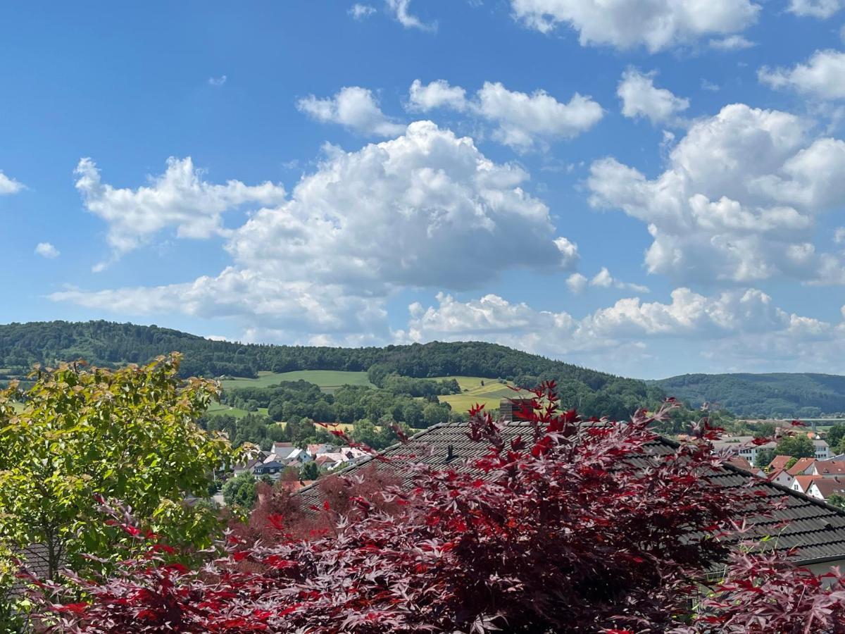 Spitzenbergblick Daire Reichensachsen Dış mekan fotoğraf